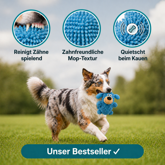 Pfotenvielfalt- ZahnPal